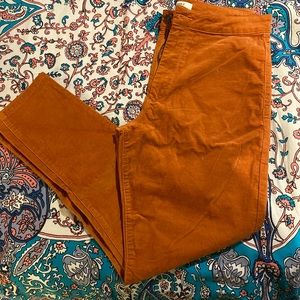 Burnt orange skinny pant